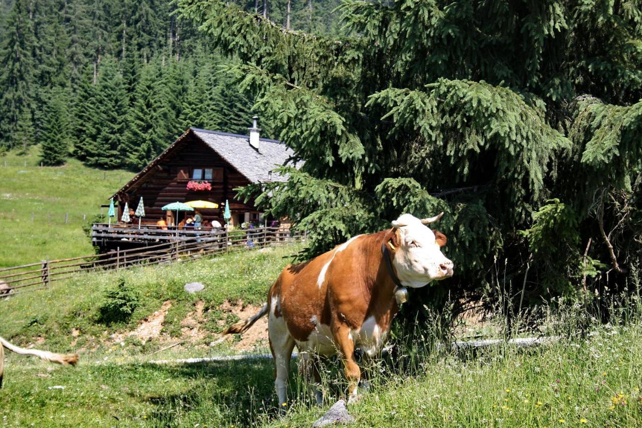 Chalet 164 Bad Goisern Esterno foto