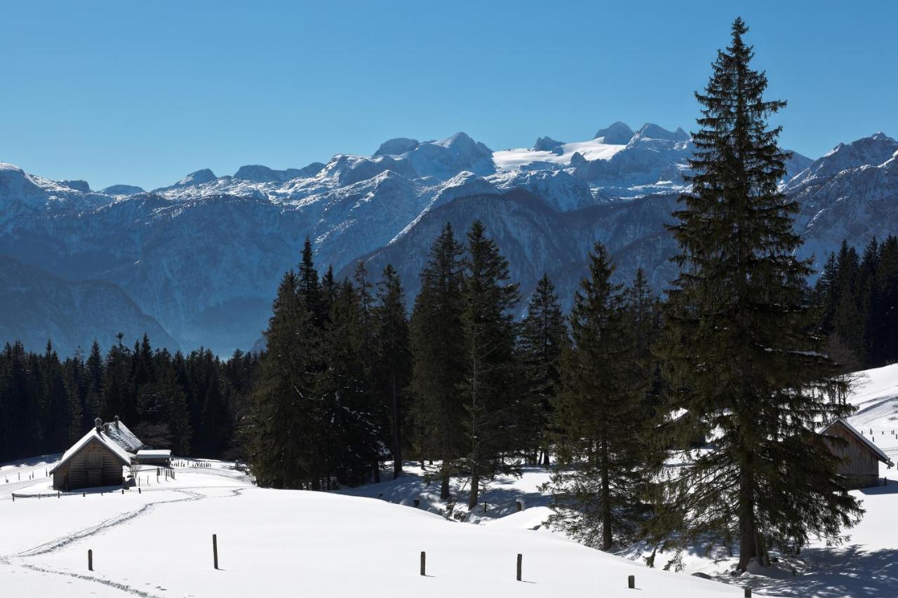 Chalet 164 Bad Goisern Esterno foto